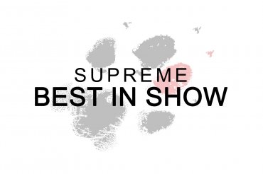 Supreme Best In Show (unedited)