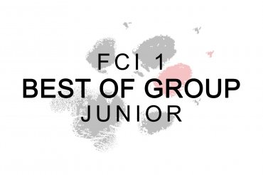 Junior FCI Group 1 - Bundessieger (unedited)