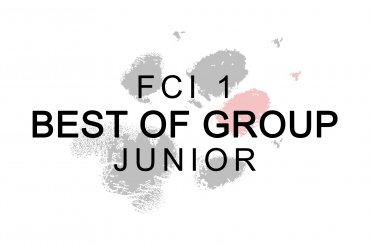 Junior FCI Group 1 - Europasieger (unedited) 