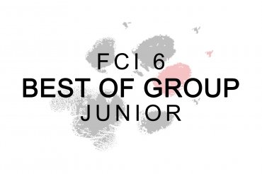 Junior FCI Group 6 - Europasieger (unedited) 