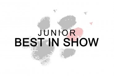 Junior Best In Show - Europasieger (unedited) 