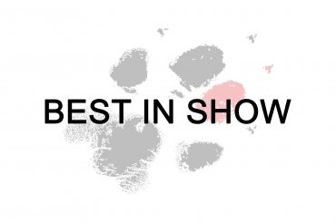 Best In Show - Europasieger (unedited) 