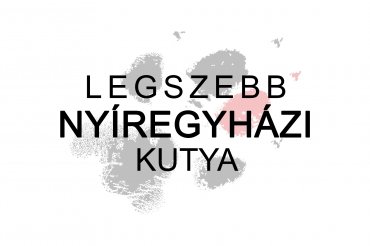 Legszebb nyíregyházi kutya (unedited)