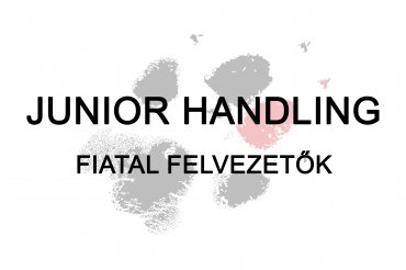 Junior handling (unedited)