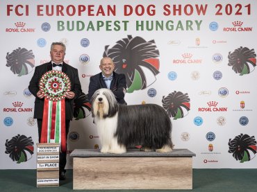 European Dog Show 2021 Budapest