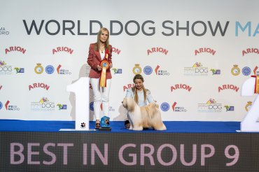 World Dog Show 2020 Madrid day 2.