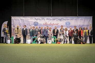 FeHoVa Winterdogshow Budapest CACIB 2023 - Day 4