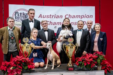 Austrian Champion Of Champions 2023