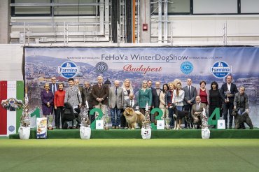 FeHoVa Winterdogshow Budapest 2024 - Day 1