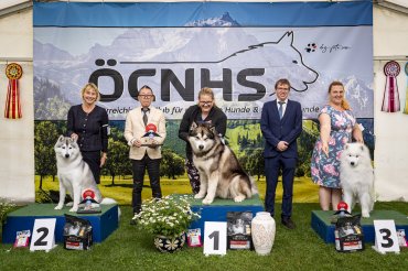 Vulkanland Winner 2025 - Sunday Show 3