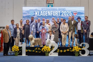 Klagenfurt CACIB 2025 day 1