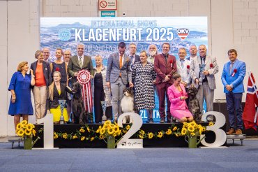 Klagenfurt CACIB 2025 day 2