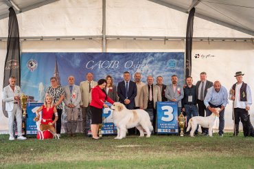 Osijek CACIB 2025 day 2
