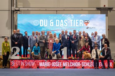 Tulln CACIB 2025 day 2