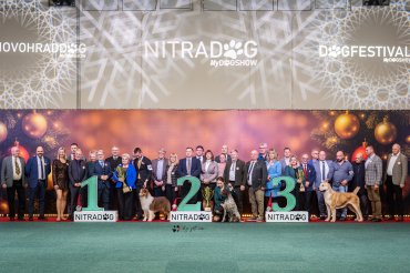 Nitra Christmas Cup CACIB 2025 - day 2