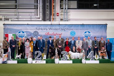FeHoVa Winterdogshow 2026 - Day 4