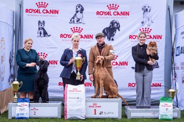 Kazár CAC 2026 - délután