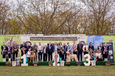 Hajdúdorog CACIB 2026 day 2