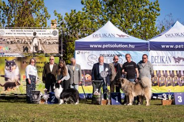 PEKE Juhász- és Pásztorkutya CAC 2026