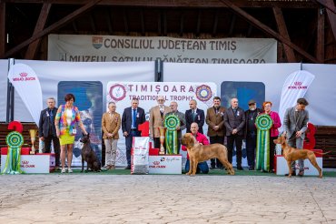 Timisoara CACIB+CAC 2026 day 1