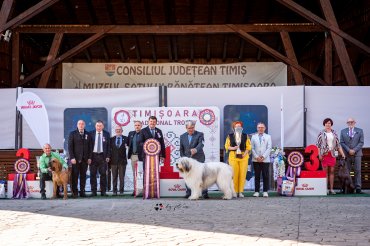 Timisoara CACIB+CAC 2026 day 2