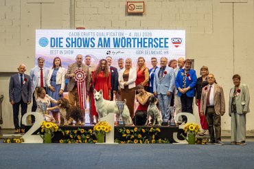 Klagenfurt CACIB 2026 day 1