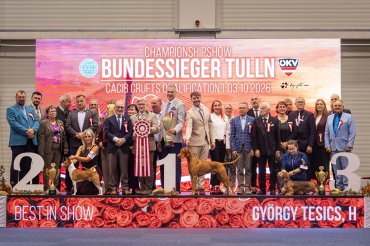 Tulln CACIB 2026 day 2
