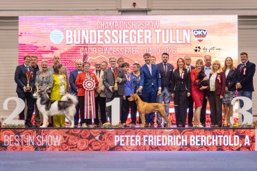 Tulln CACIB 2026 day 3