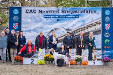 Dunaújváros CAC 2026